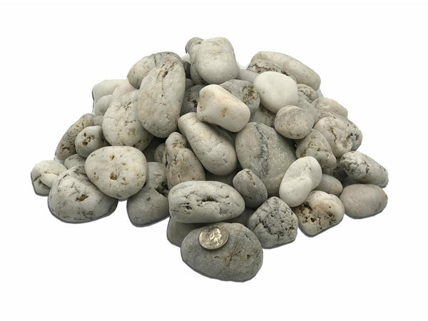 White Mexican Beach Pebbles 1"- 2” - BellStone